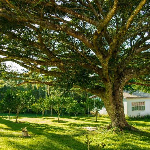 PROGRAMAÇÃO INFANTIL