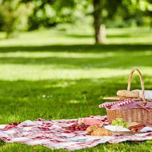 PROGRAMAÇÃO INFANTIL